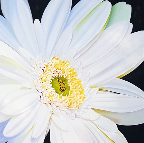 “Inner Goodness” Oil, 30” x 30” by artist Amy Hillenbrand. See her portfolio by visiting www.ArtsyShark.com