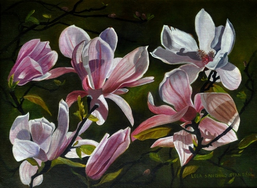 "Magnolias in Central Park" Oil on Canvas, 18" x 14" by artist Lola Stanton. See her portfolio by visiting www.ArtsyShark.com