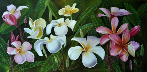 "Plumeria" Oil on Canvas, 24" x 12" "Plumeria" Oil on Canvas, 24" x 12"