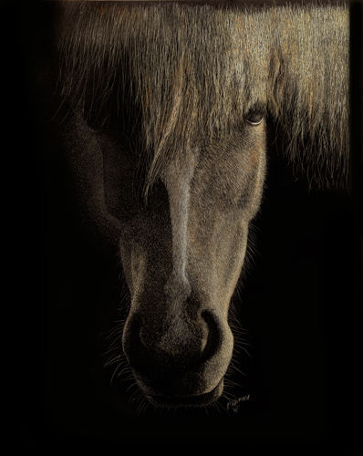 "Misty" Scratchboard, 9" x 12" by artist Paul Hopman. See his portfolio by visiting www.ArtsyShark.com