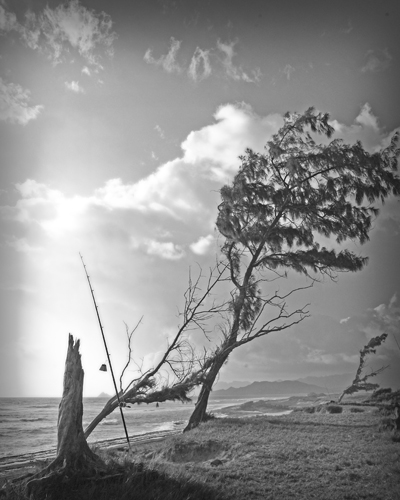 "Fishing at Mokapu, Hawaii" Photography, Various Sizes by Delphine Bordas. See her portfolio by visiting www.ArtsyShark.com