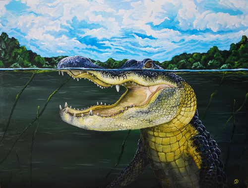 “Florida Gator” Acrylic on Canvas, 40” x 30” by artist Kelly Quinn. See her portfolio by visiting www.ArtsyShark.com