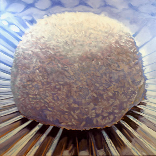 "Heavenly Snowball" Oil on Canvas, 30" x 30" by artist Andrea Alvin. See her portfolio by visiting www.ArtsyShark.com