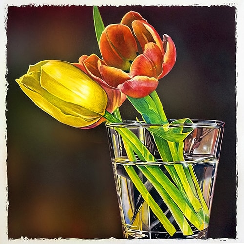 "Tulips" Watercolor, 24" x 24" by artist Al Vesselli. See his portfolio by visiting www.ArtsyShark.com