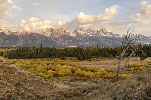 “Signs of Autumn” Photography, Various Sizes by artist Stacy White. See her portfolio by visiting www.ArtsyShark.com