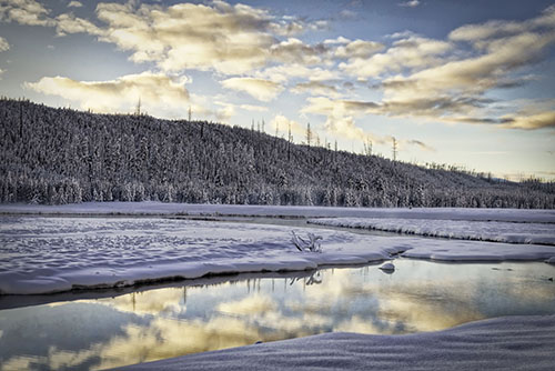 “Winter Yellowstone Sunset” Photography, Various Sizes by artist Stacy White. See her portfolio by visiting www.ArtsyShark.com