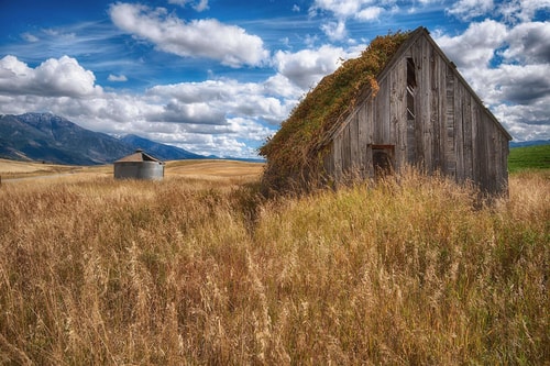 “Remnants of Farm Life” Photography, Various Sizes by artist Stacy White. See her portfolio by visiting www.ArtsyShark.com