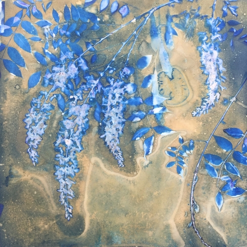 "Nebulina Azul 1" Cyanotype, 20" x 20" by artist Linda Clark Johnson. See her portfolio by visiting www.ArtsyShark.com