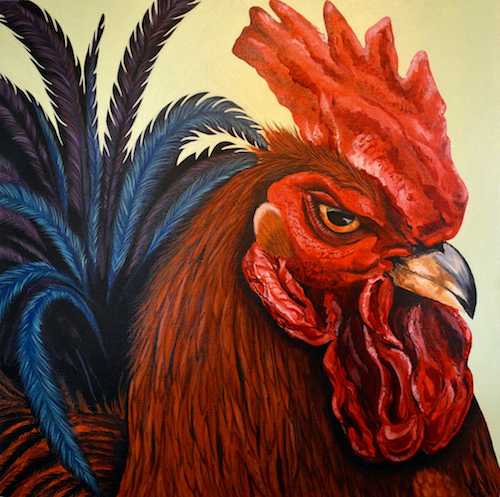 "Rooster" Acrylic, 18" x 18" by artist Kelly Moran. See her portfolio by visiting www.ArtsyShark.com