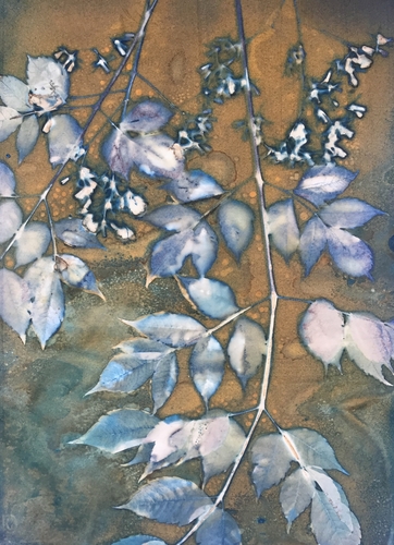 "Spring in the Alley 2" Cyanotype, 11" x 15" by artist Linda Clark Johnson. See her portfolio by visiting www.ArtsyShark.com