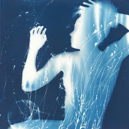 "Summer Dreaming" Cyanotype Double Exposure, 29.5" x 29.5" by artist Linda Clark Johnson. See her portfolio by visiting www.ArtsyShark.com