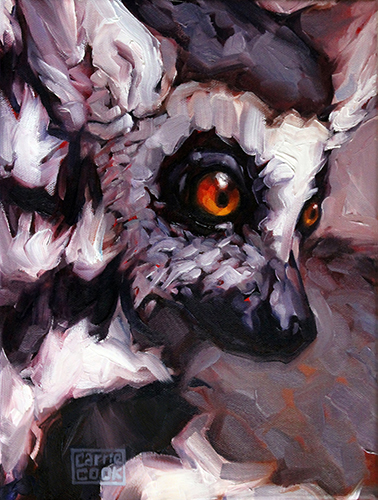 “Ghost of Madagascar” Oil on Canvas, 9” x 12” by artist Carrie Cook. See her portfolio by visiting www.ArtsyShark.com