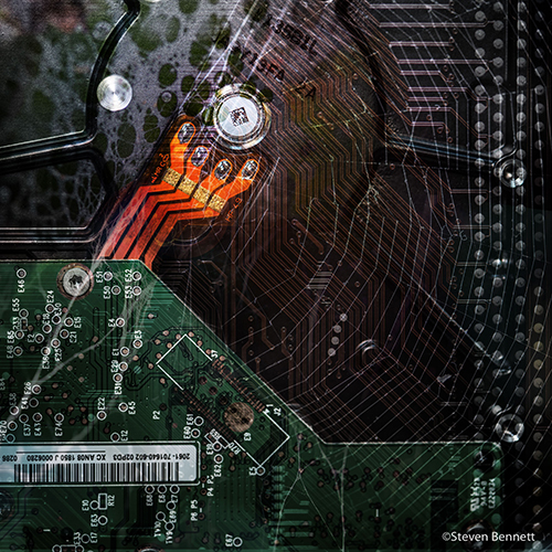 “BioTechnica #3: Drive,” Composite Photograph Printed on Metal, 36” x 36” by Steve Bennett