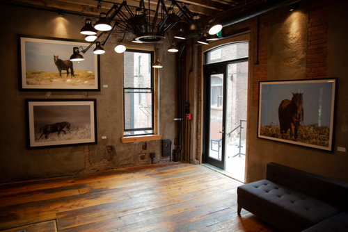 "Wild We Roam" pop-up gallery featuring Jennifer Irving's photography.