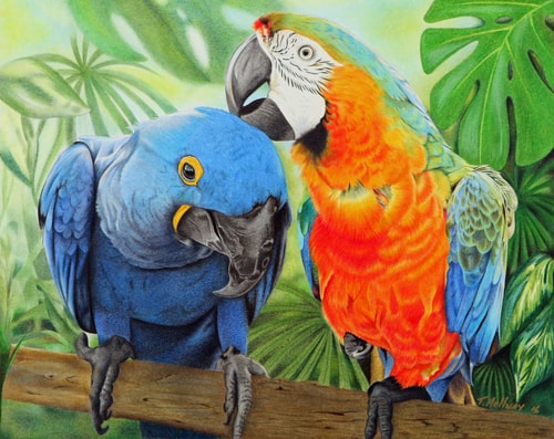 “Birds of a Feather” Coloured Pencil, 14” x 11” by artist Terry Mellway. See her portfolio by visiting www.ArtsyShark.com 