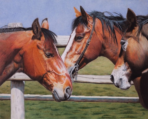 “Threesome” Coloured Pencil, 20” x 16” by artist Terry Mellway. See her portfolio by visiting www.ArtsyShark.com 