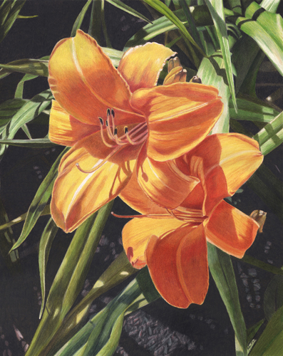 “Hello Sunshine” Colored Pencil, 16” x 20” by artist Robin Manelis. See her portfolio by visiting www.ArtsyShark.com