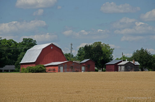 Spotsylvania Farm by photographer Dawn Whitmore