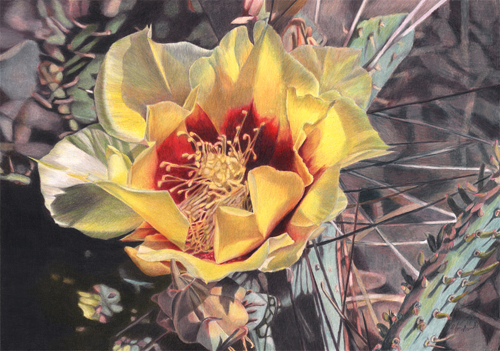 “Sun Kissed” Colored Pencil, 17” x 12” by artist Robin Manelis. See her portfolio by visiting www.ArtsyShark.com