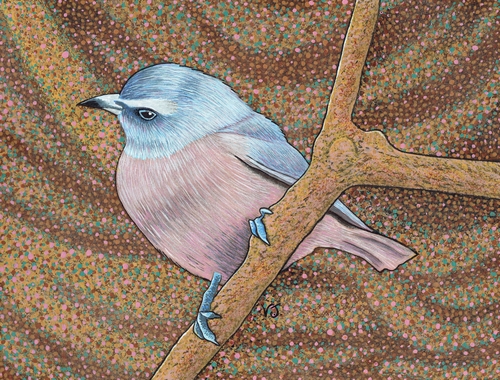 "White Browed Wood Swallow" Mixed Media on Colourfix, 12" x 9" by artist Vikki Jackson. See her portfolio by visiting www.ArtsyShark.com