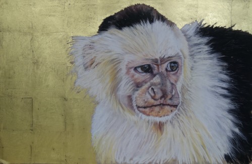 “Costa Rican Capuchin” Pastel and Charcoal with 22 Carat Gold Leaf on Board, 61cm x 40cm by artist Kate Passingham. See her portfolio by visiting www.ArtsyShark.com