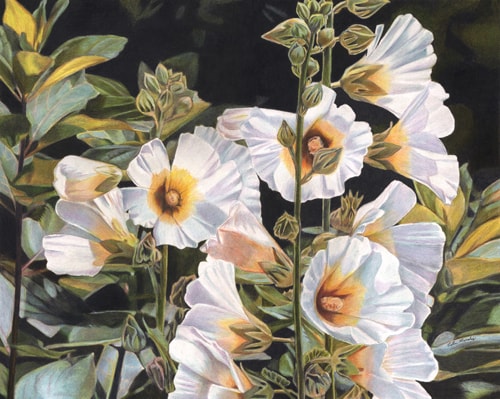 "In Bloom" Colored Pencil, 20" x 16" by artist Robin Manelis. See her portfolio by visiting www.ArtsyShark.com