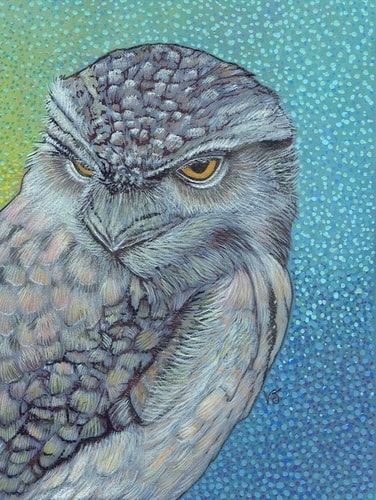 "Tawny Frogmouth Owl" Mixed Media on Colourfix, 9" x 12" by artist Vikki Jackson. See her portfolio by visiting www.ArtsyShark.com