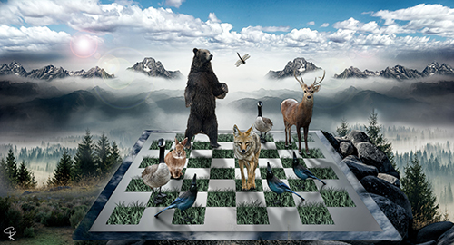 "Tahoe Checkmate" Digital Photography, Varied Sizes by artist Catherine King. See her portfolio by visiting www.ArtsyShark.com