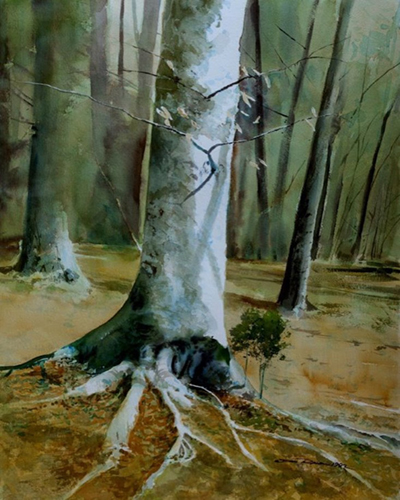 “Last Leaves” Watercolor, 22” x 30” by artist Don Rankin. See his portfolio by visiting www.ArtsyShark.com