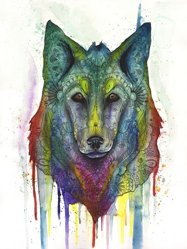 "Cosmic Wolf" Watercolor and Pen and Ink on Watercolor Paper, 18" x 24" by artist Haylee McFarland. See her portfolio by visiting www.ArtsyShark.com