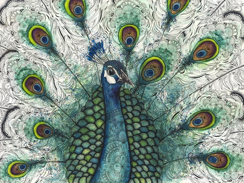 "Peacock" Watercolor and Pen and Ink on Watercolor Paper, 24" x 18" by artist Haylee McFarland. See her portfolio by visiting www.ArtsyShark.com