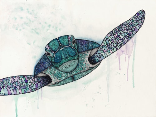 "Sea Turtle" Watercolor and Pen and Ink on Watercolor Paper, 24" x 18" by artist Haylee McFarland. See her portfolio by visiting www.ArtsyShark.com