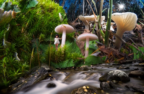 Fairy Girl in the Fungal Forest, fantasy digital art photography by Steve Slocomb