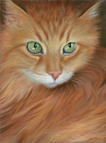 "Arts Cat" Colored Pencil and Panpastel, 9" x 12" by Artist Heather Mitchell. See her portfolio by visiting www.ArtsyShark.com