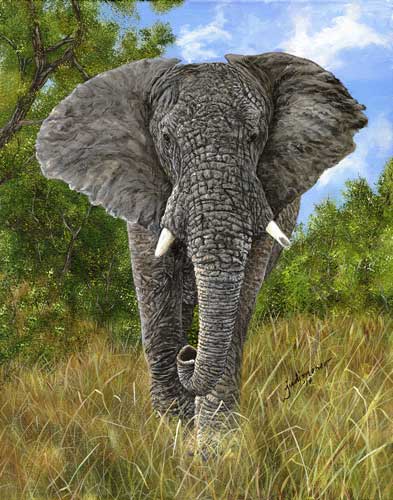 "Elephant" Acrylic, 24" x 28" by Artist Judi Moreo. See her portfolio by visiting www.ArtsyShark.com