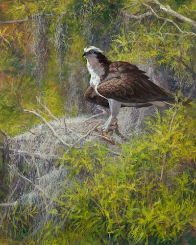 "Osprey The Guardian" Oil, 24" x 30" by artist Laurie Snow Hein. See her portfolio by visiting www.ArtsyShark.com