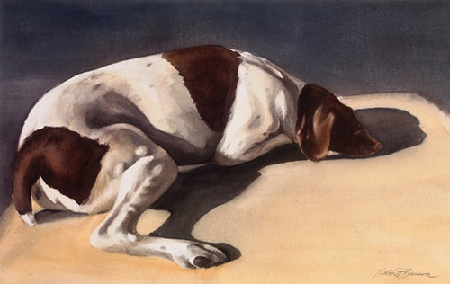 "Dashdog Sunbather" Watercolor, 20" x 13" by Artist Robert Benson. See his portfolio by visiting www.ArtsyShark.com