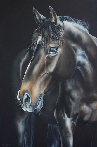 "Angie" Oil, 60cm x 90cm by artist Clea Witte. See her portfolio by visiting www.ArtsyShark.com