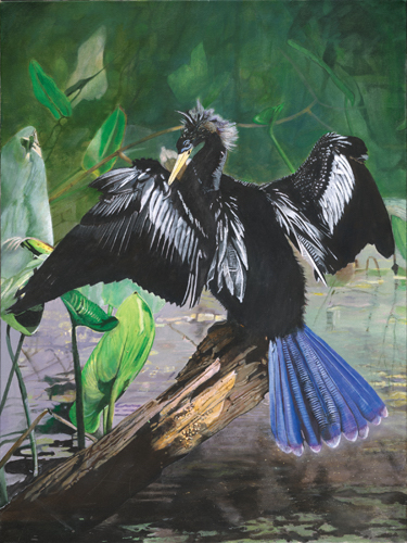 "Anhinga" Acrylic, 30" x 40" by artist Ellen (Ellie) Fuller. See her portfolio by visiting www.ArtsyShark.com