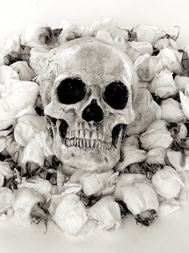 "Skull & Roses" Photography, 24" x 36" by artist Jonathan Brooks. See his portfolio by visiting www.ArtsyShark.com
