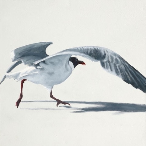 “Takeoff” Oil on Panel, 12” x 12” by artist Rose Hohenberger. See her portfolio by visiting www.ArtsyShark.com