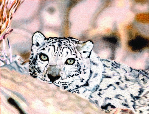 "On the Prowl" Prisma Color Pencil on Sienna Colored Pastel Mat, 10" x 8" by Artist Tracey Chakin. See her portfolio by visiting www.ArtsyShark.com