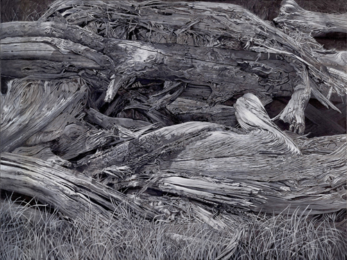 "Wood 1" Acrylic, 48" x 36" by artist Ellen (Ellie) Fuller. See her portfolio by visiting www.ArtsyShark.com