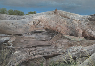 "Wood 2" Acrylic, 30" x 24" by artist Ellen (Ellie) Fuller. See her portfolio by visiting www.ArtsyShark.com