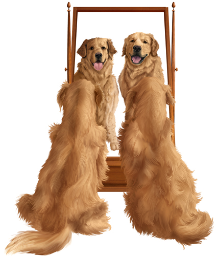 “Golden Retrievers at Mirror” Dog food package illustration of two golden retrievers admiring themselves in a mirror, Photoshop, Various Sizes by artist Trevor Keen. See his portfolio by visiting www.ArtsyShark.com