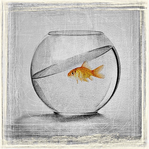 “Circumstances” Limited Edition Art Print, Various Sizes by artist Peter Boyadjieff. See his portfolio by visiting www.ArtsyShark.com