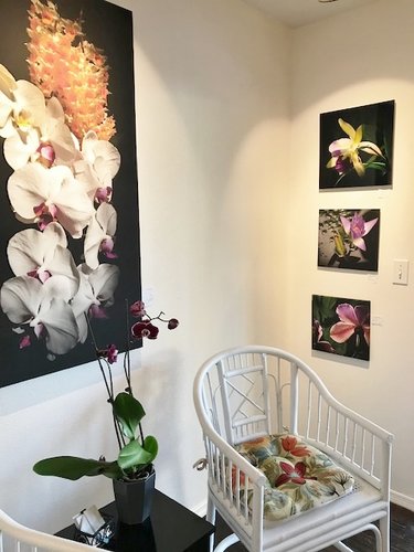 Dansa Gallery Interior with floral photography