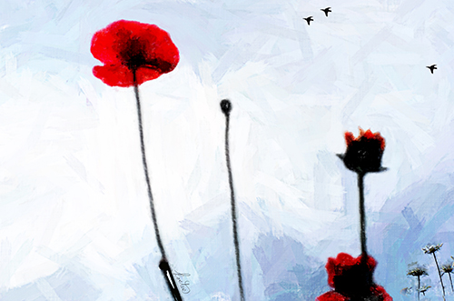 "Poppies with Daisies and Crows" Digital Photography, Various Sizes by Artist Tom Kostes. See his portfolio by visiting www.ArtsyShark.com