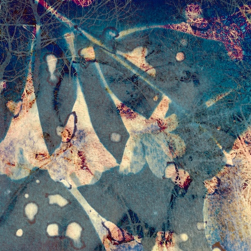 “Bells Are Ringing” Digital Art from Cyanotype Print, 18” x 18”