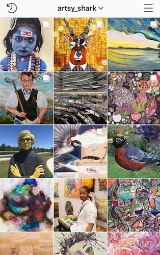 Instagram Feed Artsy Shark